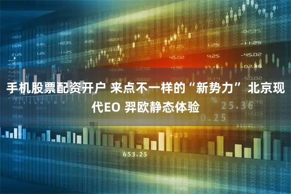 手机股票配资开户 来点不一样的“新势力” 北京现代EO 羿欧静态体验