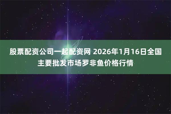 股票配资公司一起配资网 2026年1月16日全国主要批发市场罗非鱼价格行情